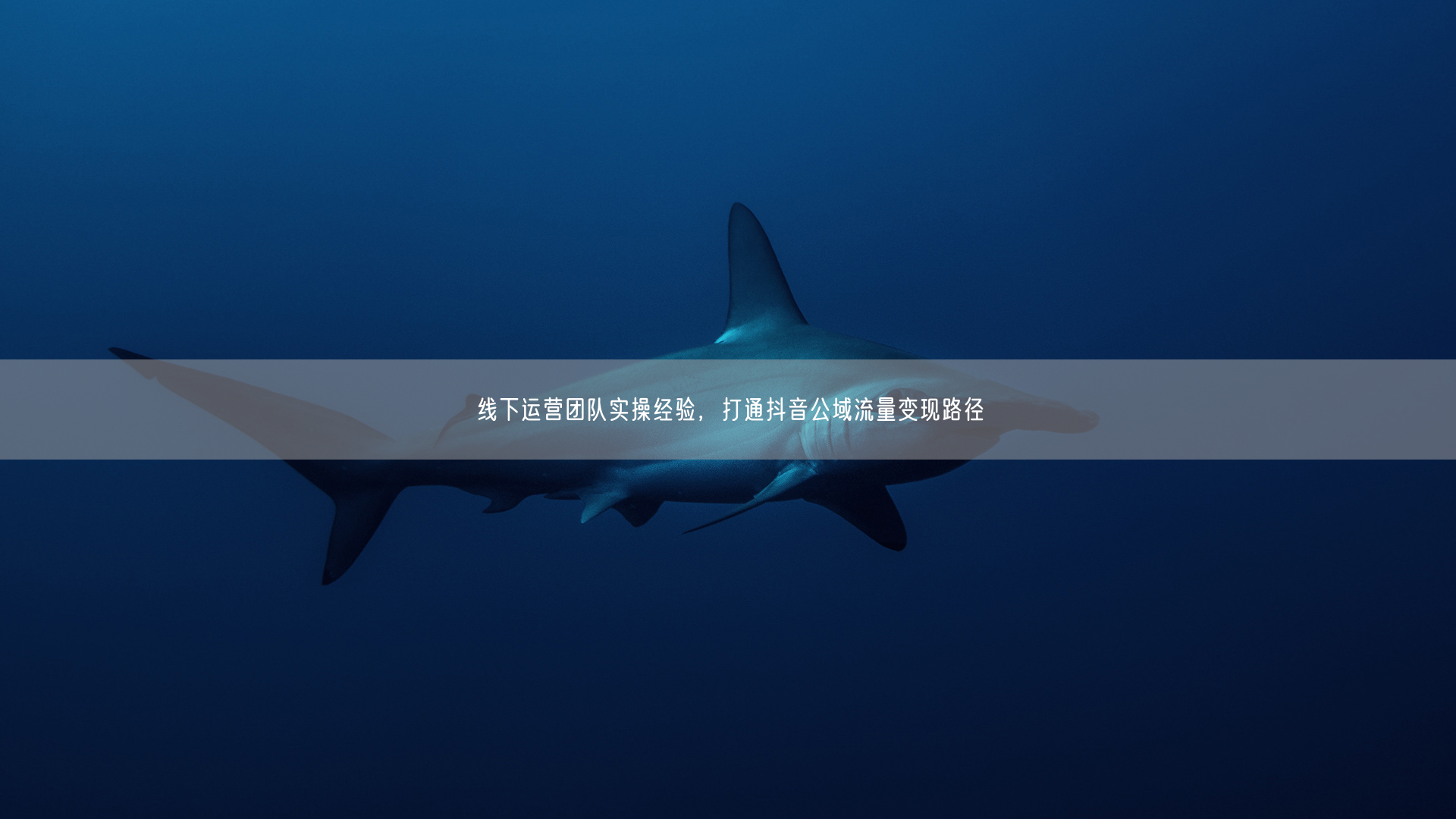 线下运营团队实操经验，打通抖音公域流量变现路径