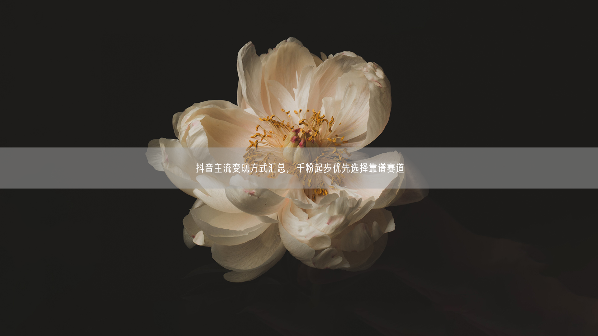 抖音主流变现方式汇总,千粉起步优先选择靠谱赛道