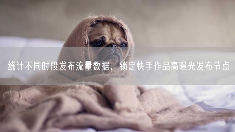 统计不同时段发布流量数据，锁定快手作品高曝光发布节点