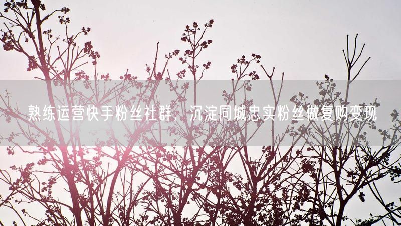 熟练运营快手粉丝社群，沉淀同城忠实粉丝做复购变现