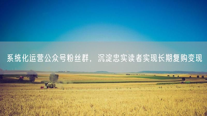 系统化运营公众号粉丝群，沉淀忠实读者实现长期复购变现