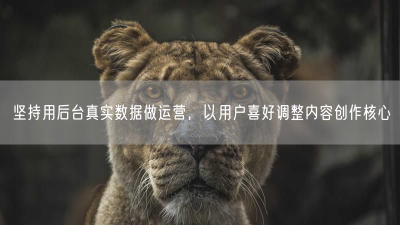 坚持用后台真实数据做运营，以用户喜好调整内容创作核心