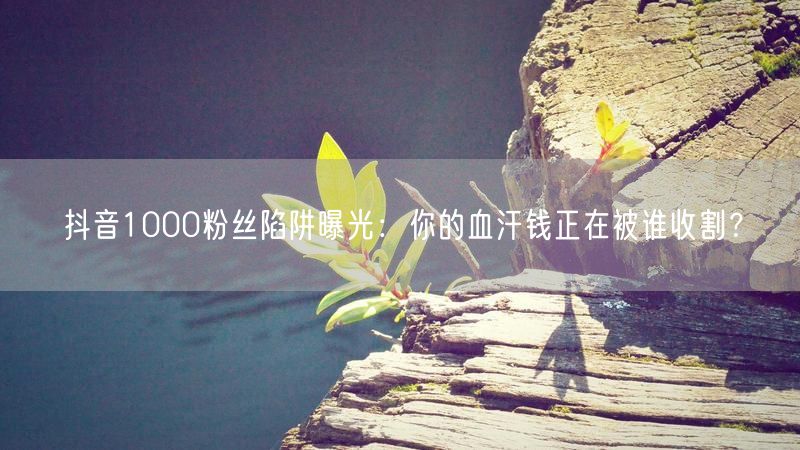 抖音1000粉丝陷阱曝光：你的血汗钱正在被谁收割？