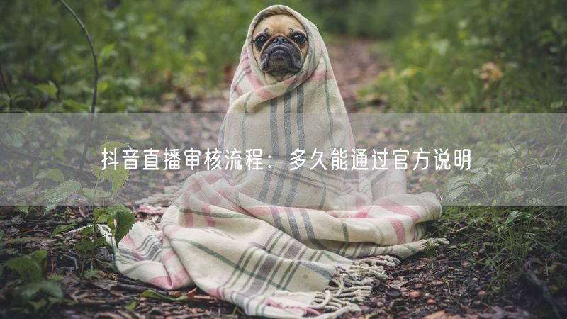 抖音直播审核流程：多久能通过官方说明